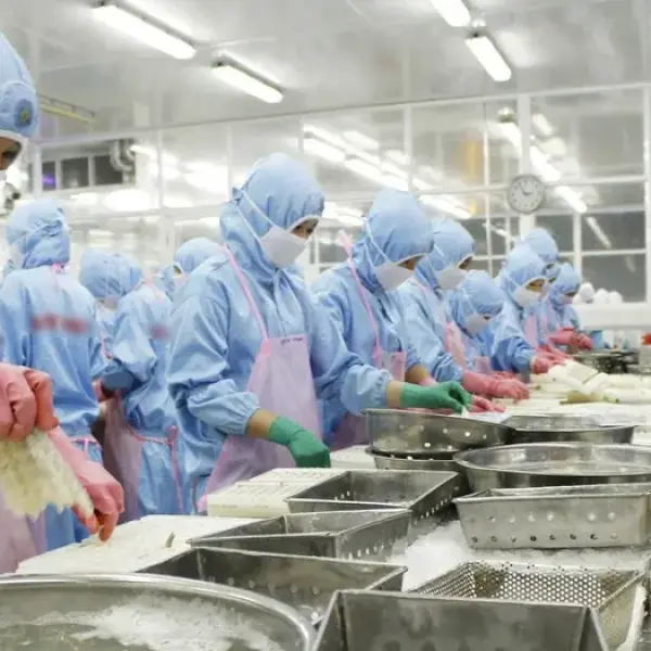 Mỹ nhập khẩu tôm ổn định và tăng nhẹ