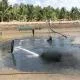 Quy Trình Xử Lý Đáy Ao Nuôi Tôm Sú: Tăng Cường Môi Trường Nuôi