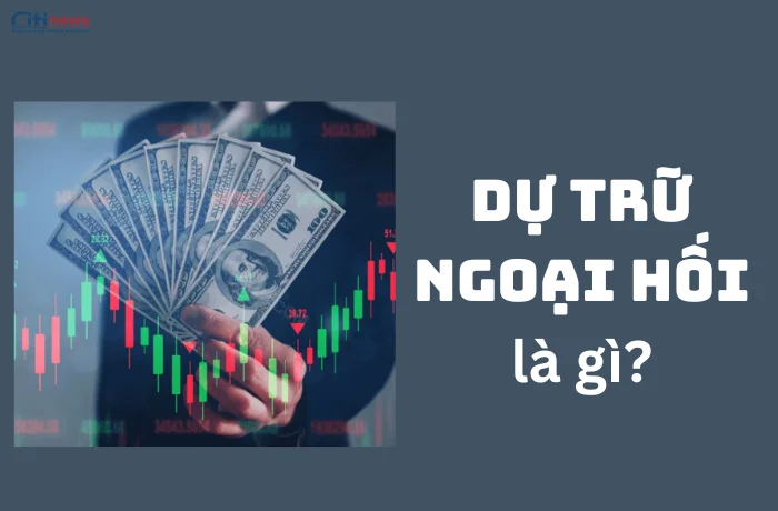 du-tru-ngoai-hoi-la-gi-3