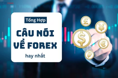 99+ Câu Nói Kinh Điển Trong Giới Trader – Đọc Là Thấm!