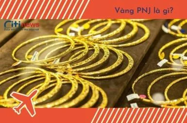 vang-pnj-la-gi