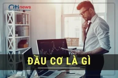 dau-co-la-gi