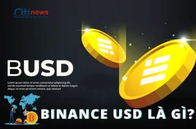 binance-usd-la-gi