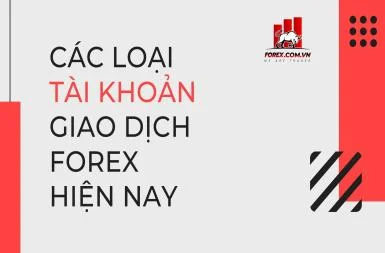 cac-loai-tai-khoan-giao-dich-forex-hien-nay