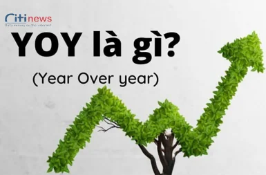 Những đặc trưng cơ bản của YOY là gì mà bạn cần phải biết