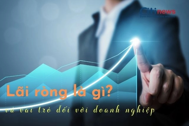 Lãi ròng là lãi gì?