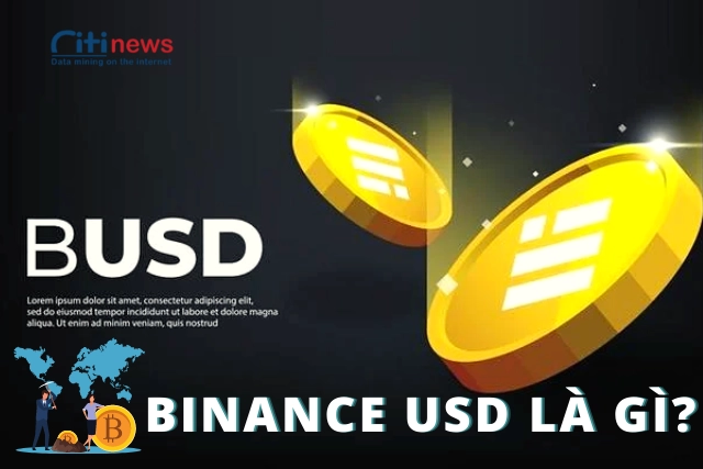 Giới thiệu về đồng BUSD Binance
