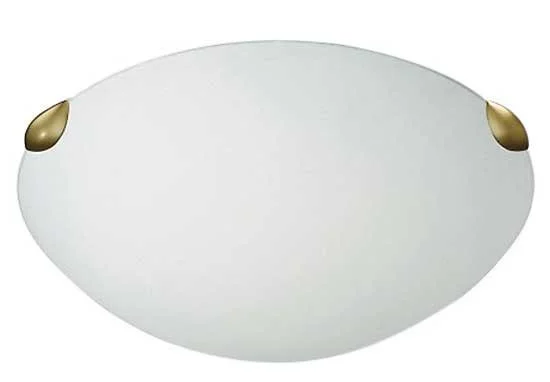 Đèn led ốp trần philips