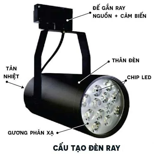 Đèn rọi ray là gì
