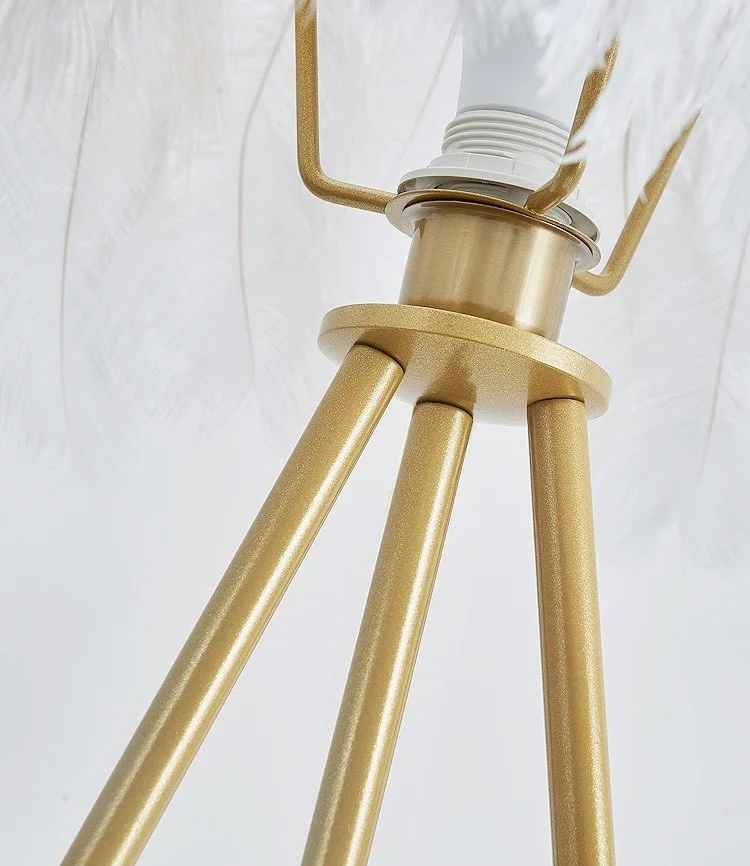 z2767112189256-e753c47f43c673045319f47b52043d86