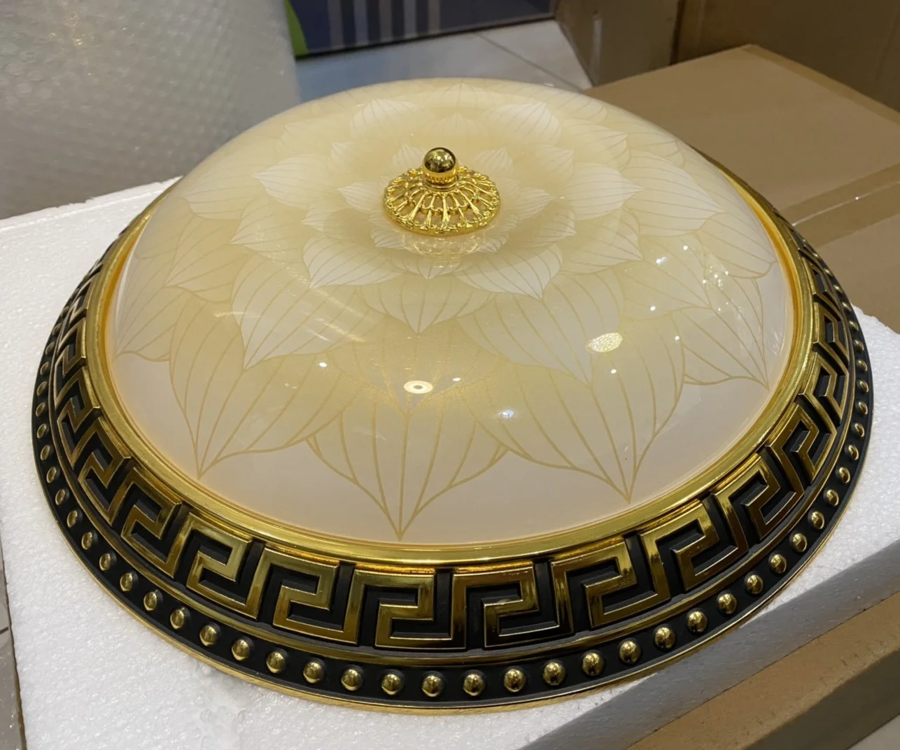 z3115469366059-aa968f5fee20ebdae32def997a14f438