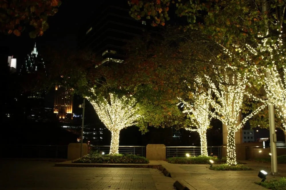 den-led-trang-tri-cay-1-1024x683