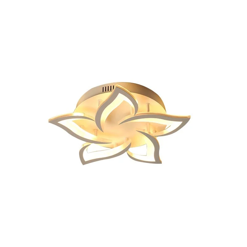 den-op-tran-htm53-12