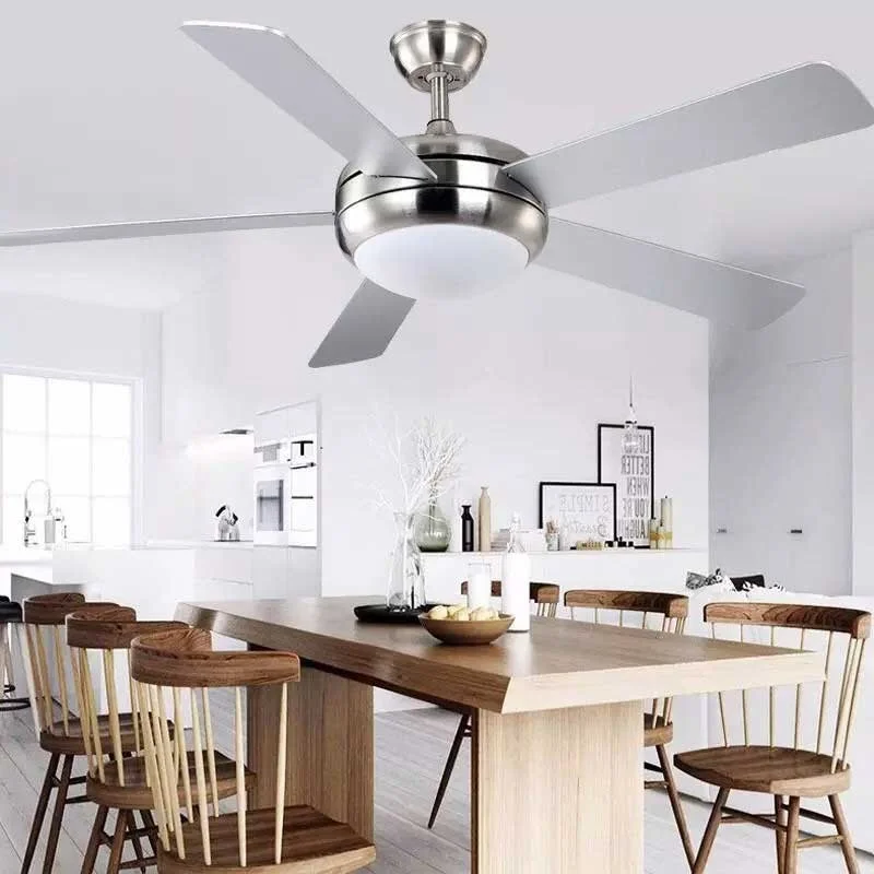 den-quat-tran-olive-anh-1