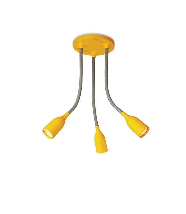 den-philips-anh-28