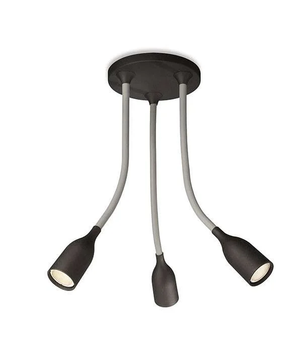 den-philips-anh-29