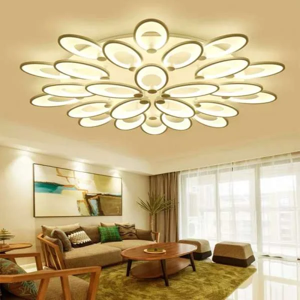 z2175467051669-4262ff4198b6d69e89f3ba4b0b7ae61f