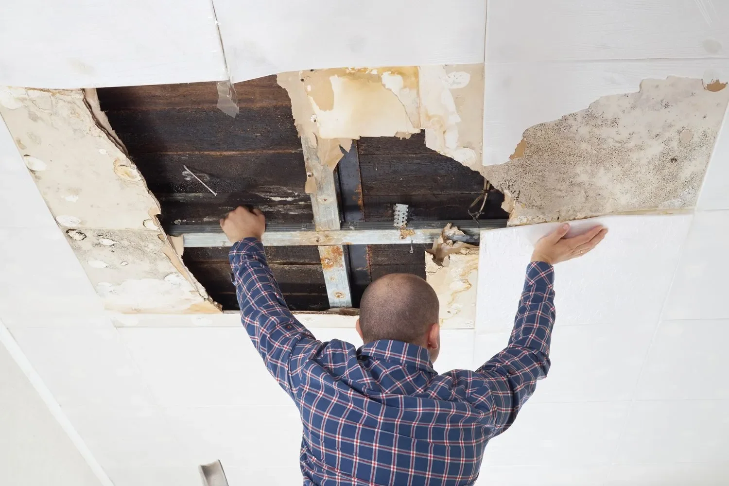 Tháo dỡ các tấm thạch cao bị thấm