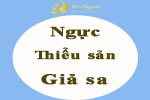 thieu-san-avatar