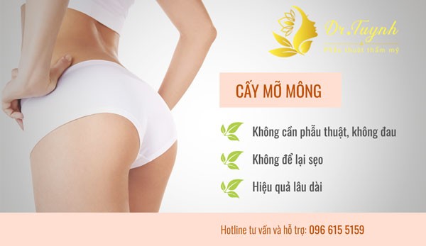 cay-mo-mong