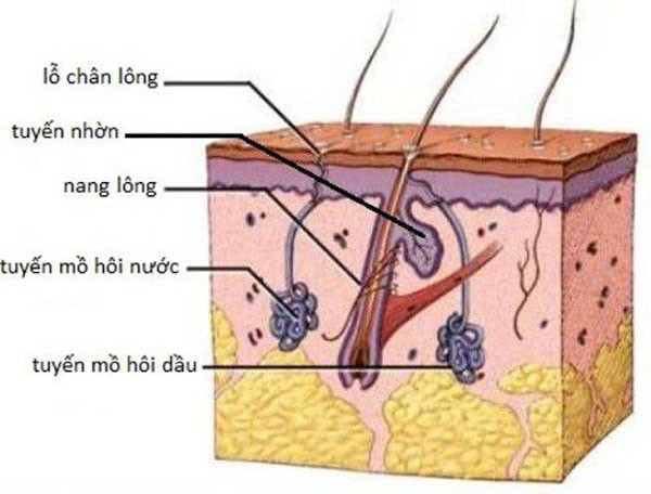 chua-hoi-nach