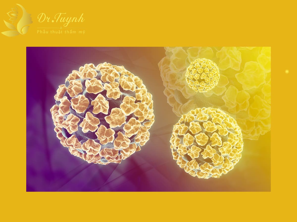 virus-gay-u-nhu-vung-sinh-duc