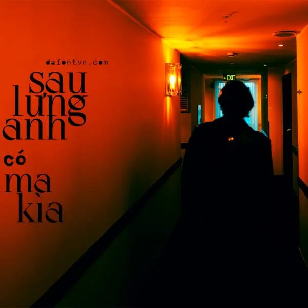 Download Font AO Mireille việt hóa - Display Typeface