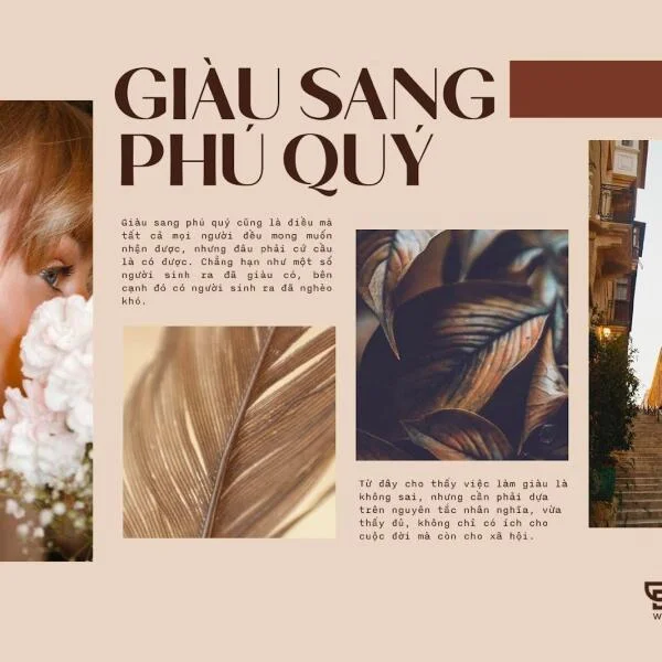 Download Trọn bộ font Brolimo Việt Hóa siêu chất lượng