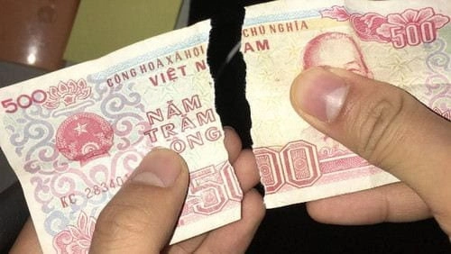 mơ thấy tiền 100 đánh con gì
