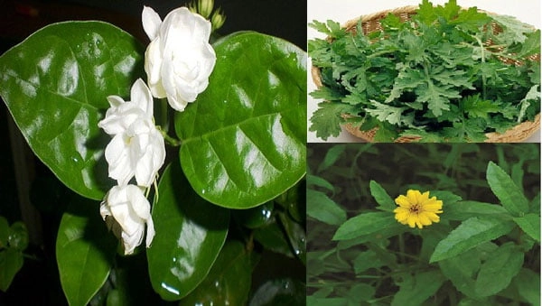 la-sai-dat-la-nhai-la-ngai