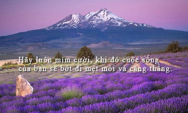 stt-buon-ve-cuoc-song-5