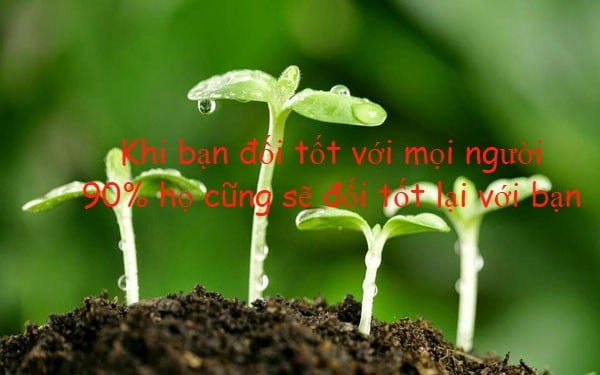 stt-hay-ve-cuoc-song-11