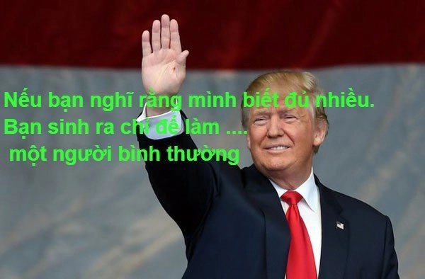 stt-hay-ve-cuoc-song-16