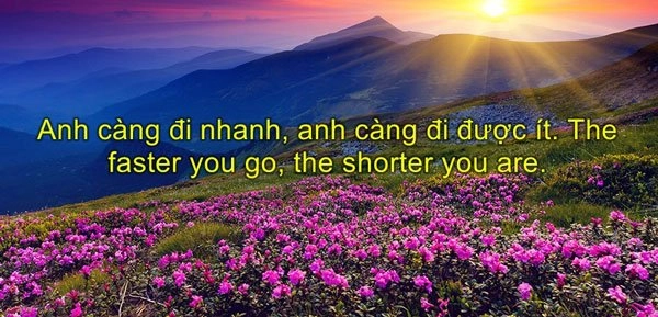 stt-hay-ve-cuoc-song-23