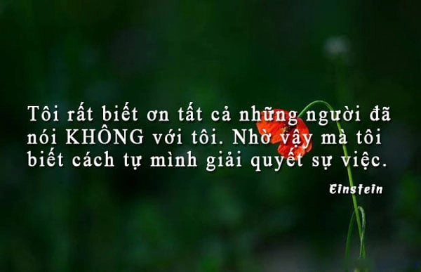stt-hay-ve-cuoc-song-4