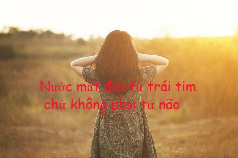 stt-hay-ve-cuoc-song22