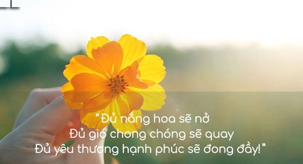 stt-hay-ve-tinh-yeu-buon-9