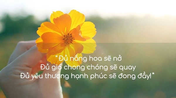 STT hay về nụ cười
