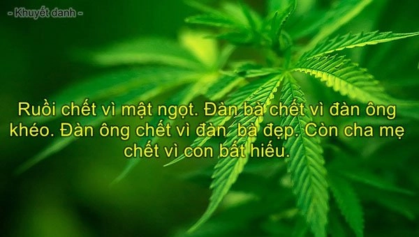 tus-hay-ve-cuoc-song-10