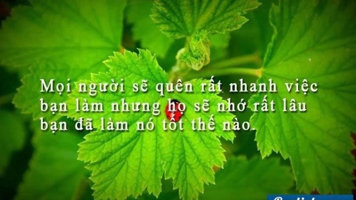 tus-tam-trang-1