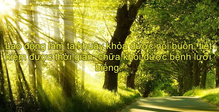 tus-tam-trang-17