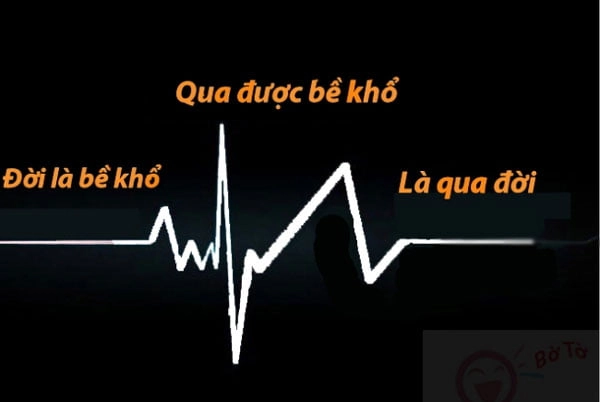 Những câu caption hay cho ảnh