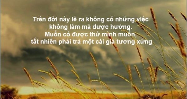 stt-cuoc-song-bon-chen-7