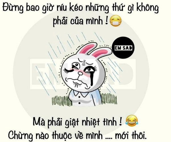 stt hài hước câu like thả thính