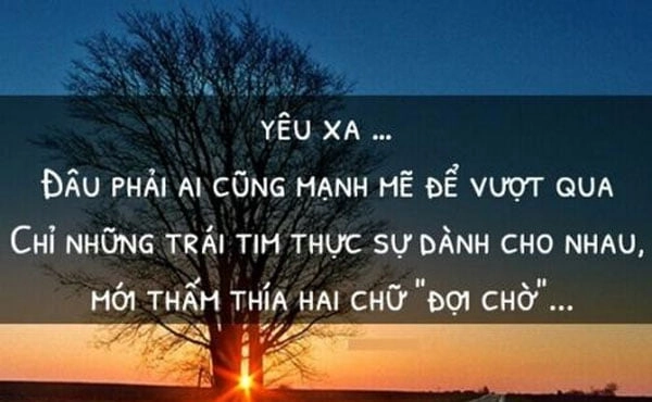 stt-hay-ve-tinh-yeu-xa