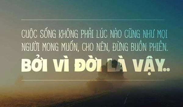 stt hay ngắn gọn về cuộc sống