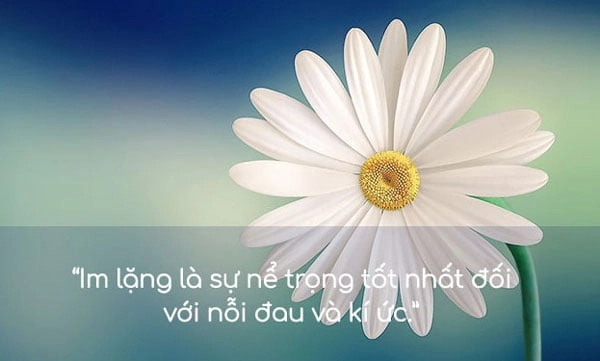 stt-ngan-gon-ve-cuoc-song-10