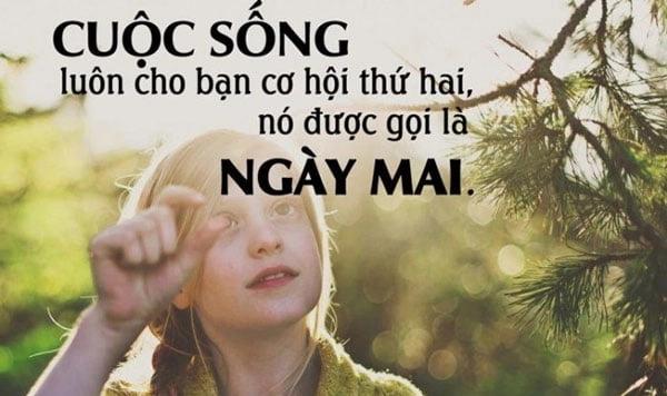stt-ngan-gon-ve-cuoc-song-12
