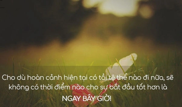 Những cau stt hay nhắt