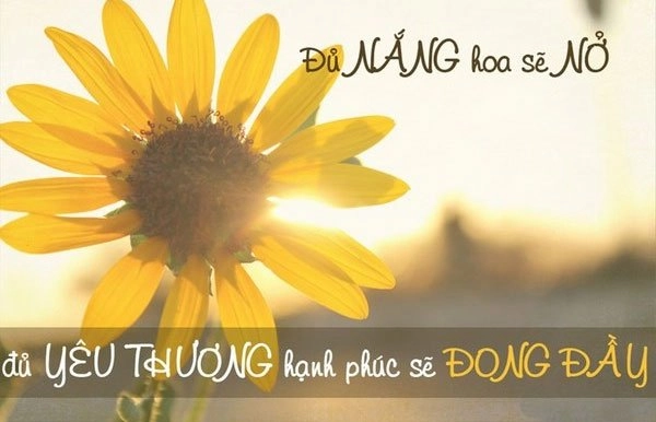 STT ngăn gọn về cuốc sống